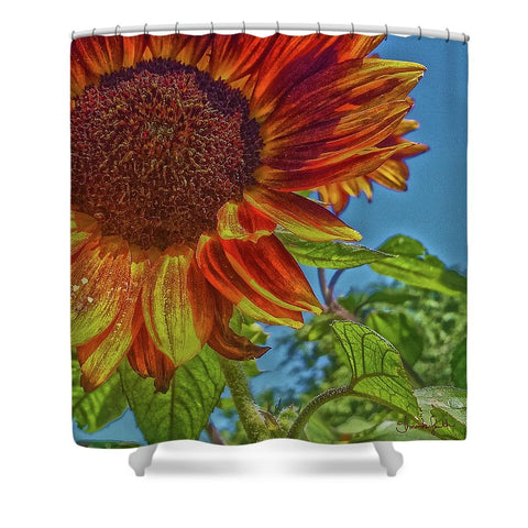 Sunflower Bonnet Shower Curtain