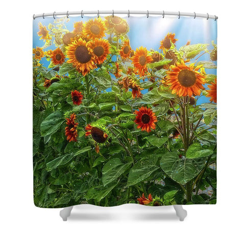 Sunflower Pack Shower Curtain