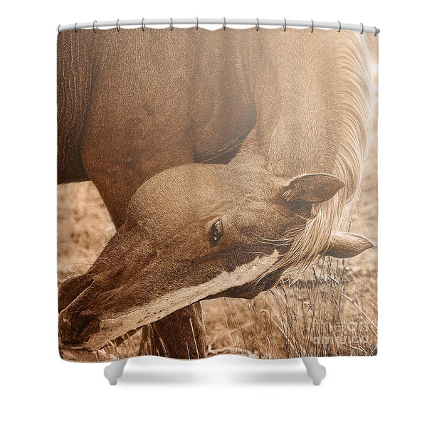 Sunlight and Grace Shower Curtain