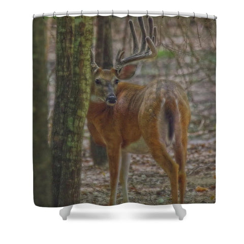 Whitetail Buck in Woods Shower Curtain