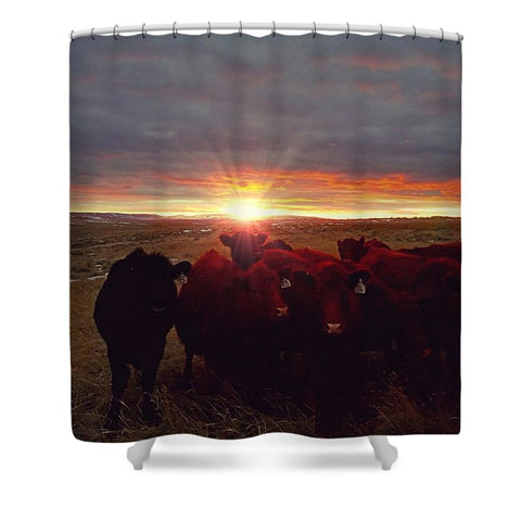 Winter Sunset at Night Feed Shower Curtain