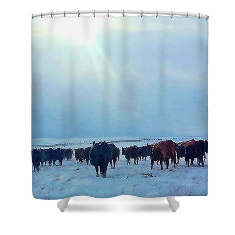 Wyoming Winter Push Shower Curtain