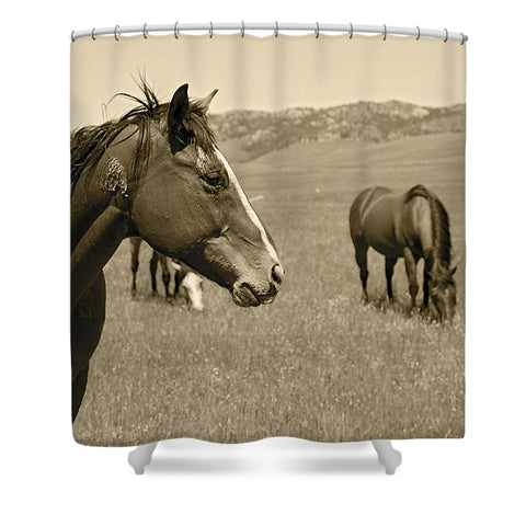 Young Stud Shower Curtain